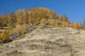 20091030_112653 Dosso Mottone.jpg